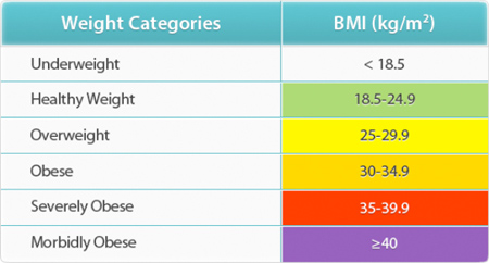 BMI Types