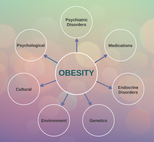 Obesity - Paul B Wizman MD PA / Bariatrix Florida