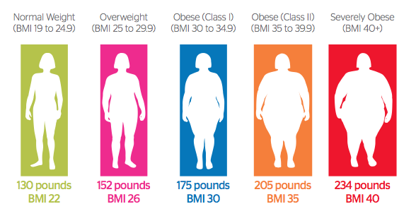 Obesity Types